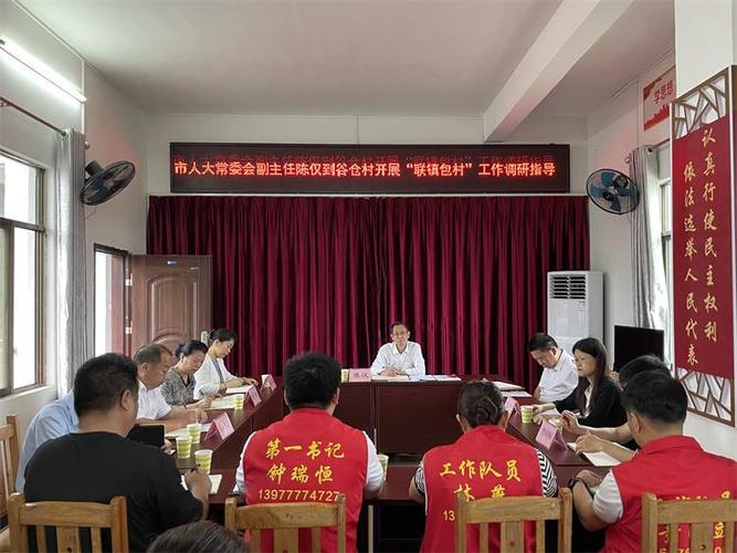 团区委开展2022年春节集中走访慰问“联镇包村”活动