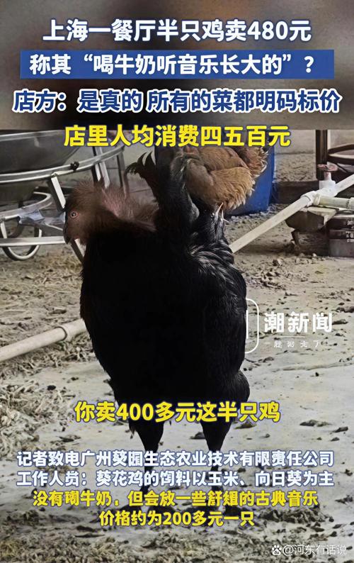 不惜代价卖掉“金蛋母鸡”，央企时代新材被谁摆布了？