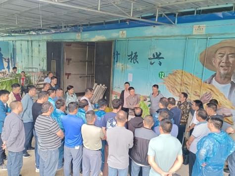 德昌县林草局参加王所镇烤烟大田移栽现场培训会