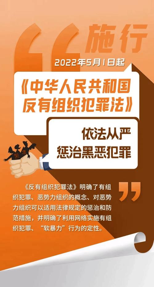 反有组织犯罪法—— 为常态化开展扫黑除恶斗争提供法治保障