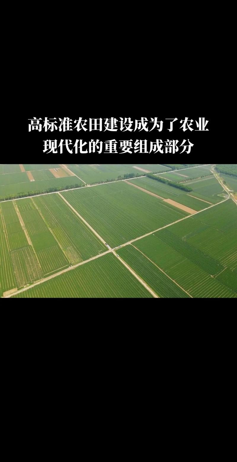 农业农村部：坚决完成全年1亿亩高标准农田建设任务