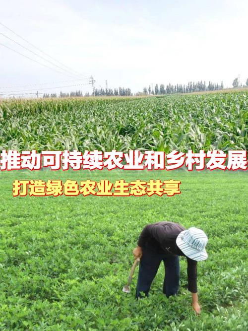 首部农业绿色发展专项规划发布 推进农业发展全面绿色转型