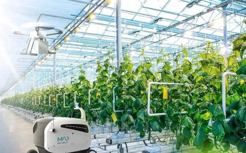 实现农业全链条升级