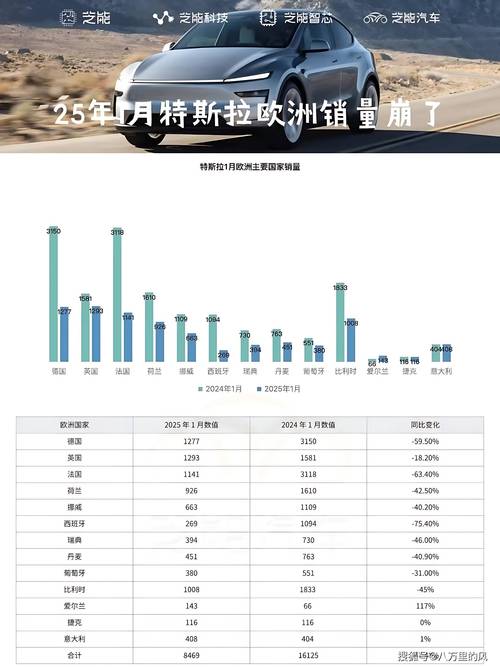 特斯拉2020年在华收入达66.62亿美元 同比增长123.63%