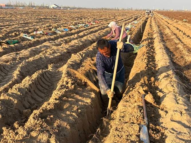 脱贫劳动力务工总量达3103万人 重点群体就业保持稳定
