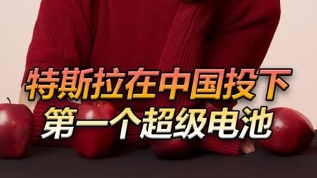 欧盟斥资29亿欧元成立第二个电池联盟 宝马特斯拉等将受益