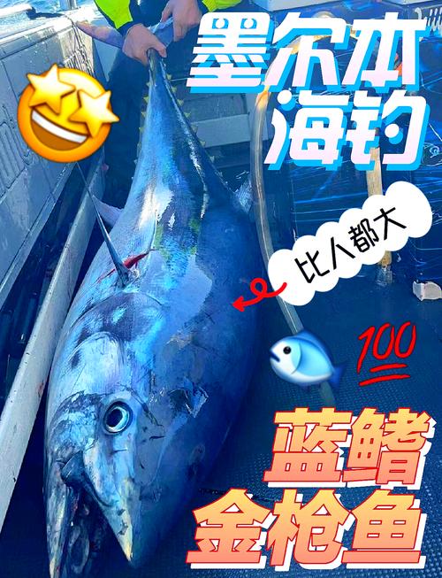 Oceana 的新分析发现金枪鱼渔业掩盖了规模达 4.11 亿美元的大青鲨产业