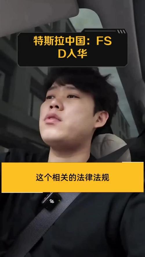 特斯拉中国玩“双标”,一边被骂一边“真香”?