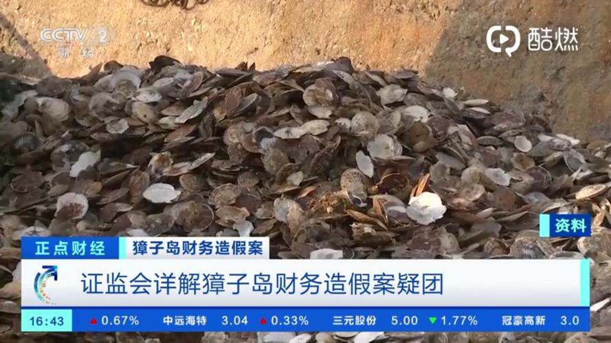 獐子岛无法统计打捞扇贝总重量 全年亏损或超2亿元