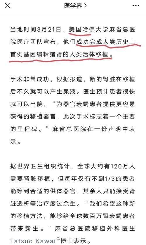 UAB宣布经过基因编辑的猪肾首次实现向大脑死亡人体的临床级移植