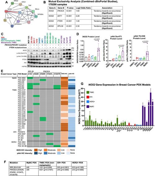 AIM ImmunoTech的安普利近在同行评审的《癌症》杂志中被列为潜在疗法