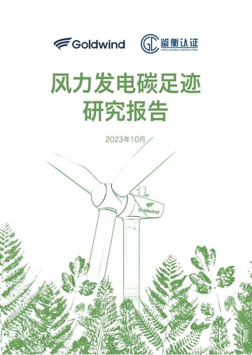 Beate Trankmann:气候变化没国界 整体看待汽车碳足迹