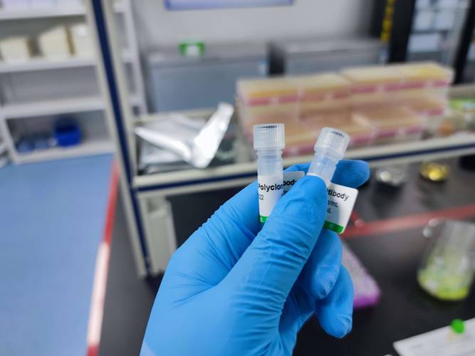Curia 助力 Replicate Bioscience 新型下一代 RNA 疫苗的 I 期临床试验
