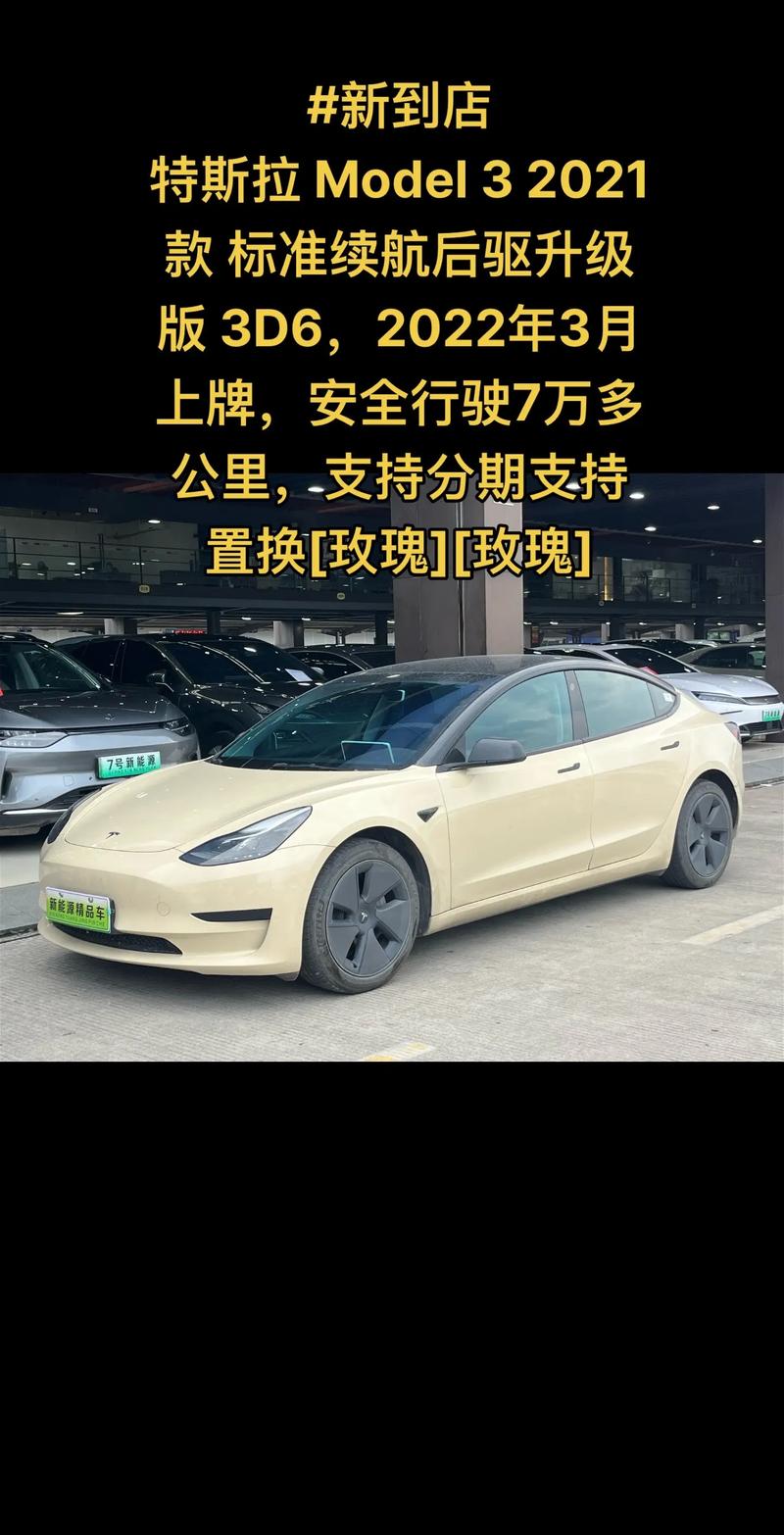 首批特斯拉Model 3抵达天津港