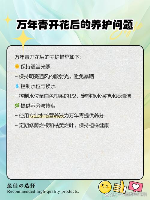 提供政策支持 加大投资保障 青海清洁能源产业多点开花
