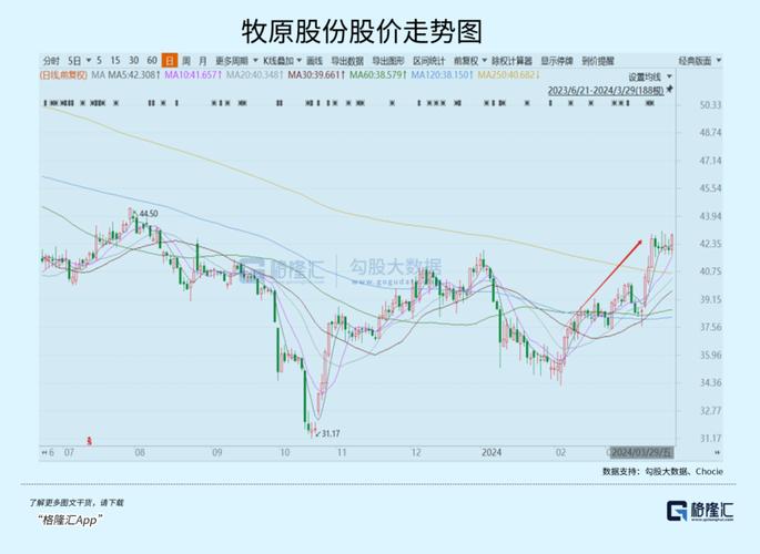 商票逾期超过5亿元 “豪赌”猪周期的正邦科技为何资金紧张