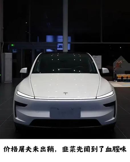“中国韭菜”撑起世界首富：每收割一位车主，马斯克的身价就会更高