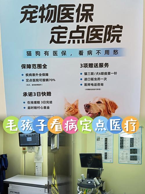 宠物医疗规范发展，还需迈过几道坎？