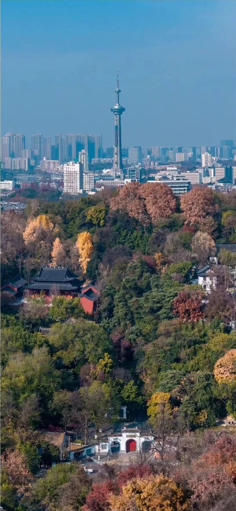 南京浦口经济开发区：“芯”光灿烂“新”潮澎湃