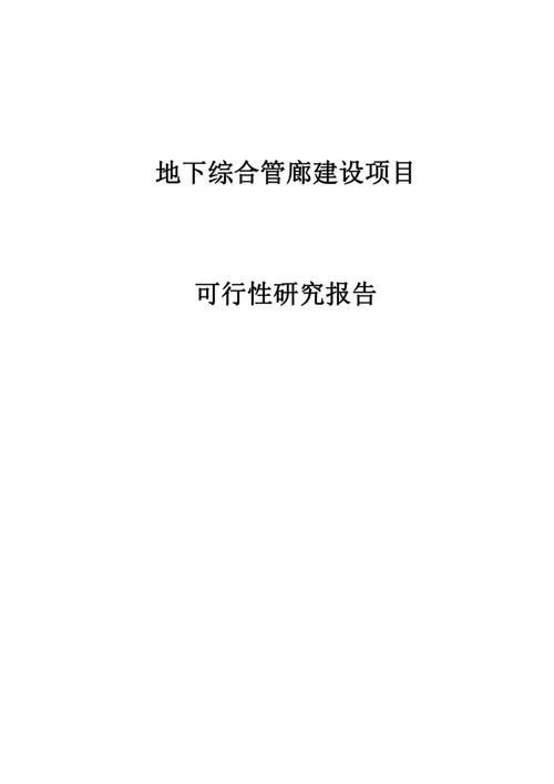 Lehigh Cement开创（CCS）的可行性研究