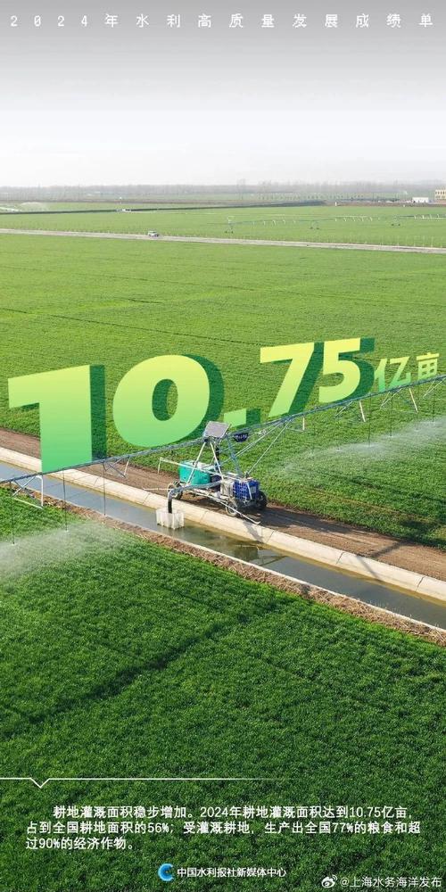 2024年全国水利建设完成投资1.35万亿元 创历史新高