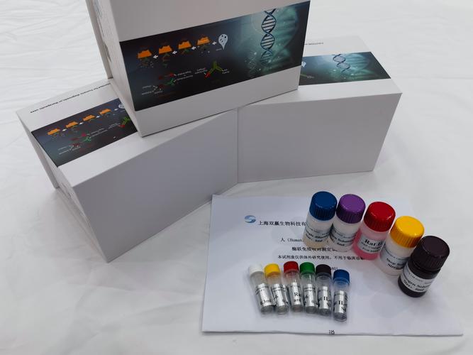 Taconic Biosciences推出首款小鼠模型，用于改善抗体治疗评估