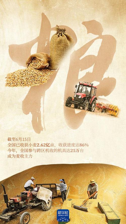 中央财政对实际种粮农民发放一次性补贴200亿元