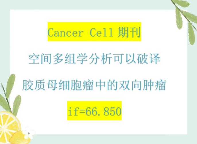Cybrexa Therapeutics宣布NAR Cancer刊发经同行评议的相关论文
