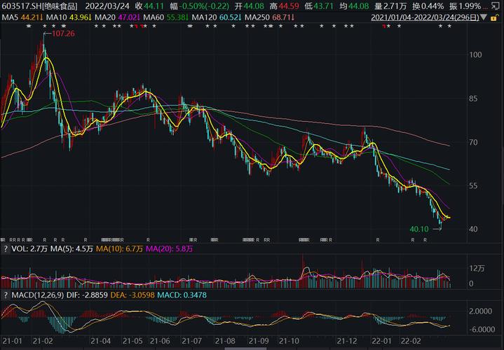 绝味食品修改定增方案 募资额腰斩年内股价跌逾三成