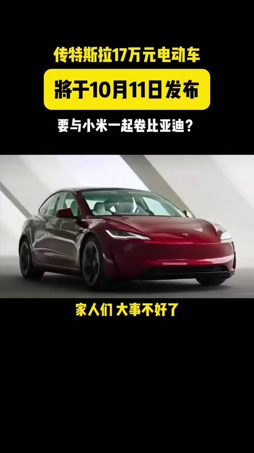 特斯拉的电动汽车梦,对手来实现!