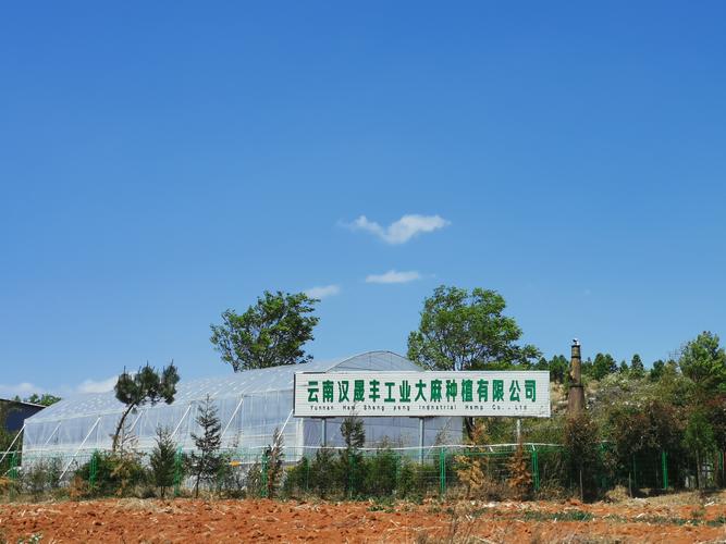 康恩贝集团在云南获得2.4万亩工业大麻种植许可