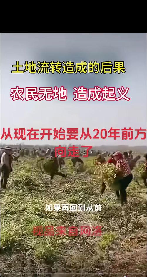 经历数次助农产品“翻车”后 爱心帮助的到底是谁？