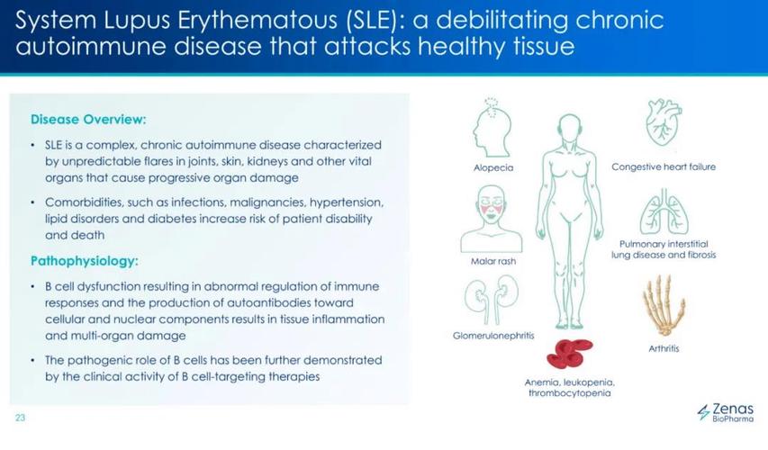 Zenas BioPharma从Xencor获得Obexelimab的全球独家权利