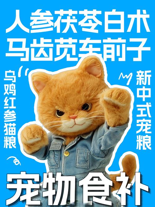 宠物保健自由,年轻人最后的任性