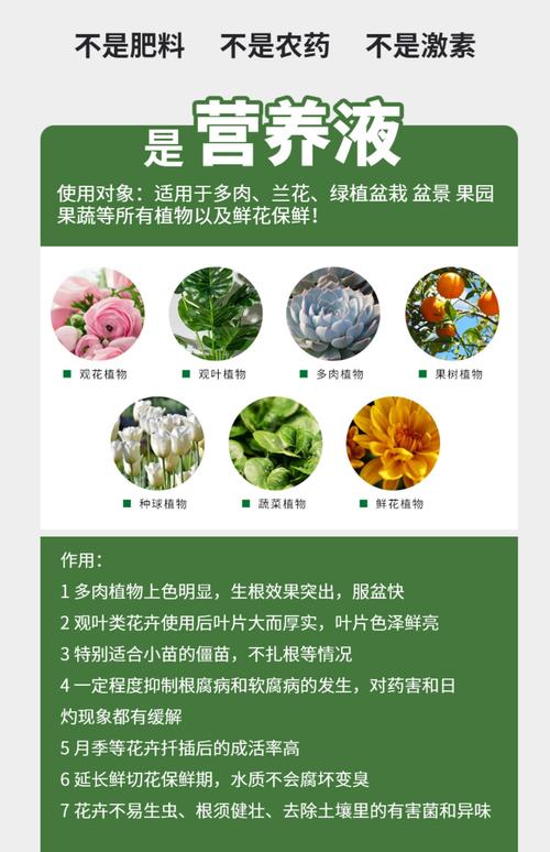 Biotalys宣布与Chrysal合作评估花卉中生物杀真菌剂的潜力