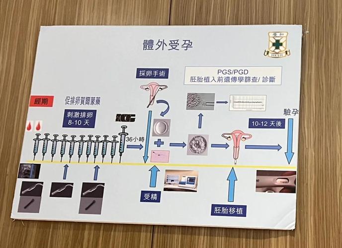 IVI RMA Global 与 Lavima Fertility 携手开展生育治疗研究