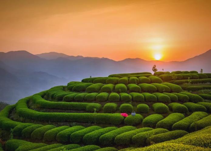 福建柘荣：“党建+旅游”绘出农旅“新风景”