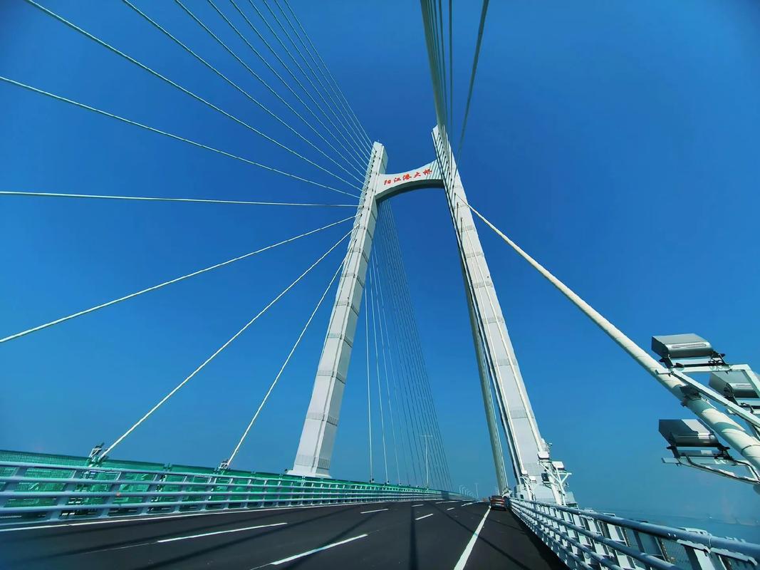改革开放，开路架桥势如虹（2019·中国经济观察④）