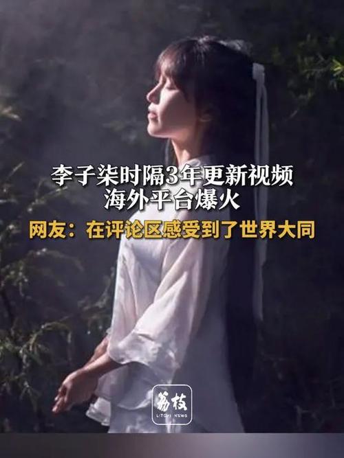 “李子柒现象”背后的网红出海