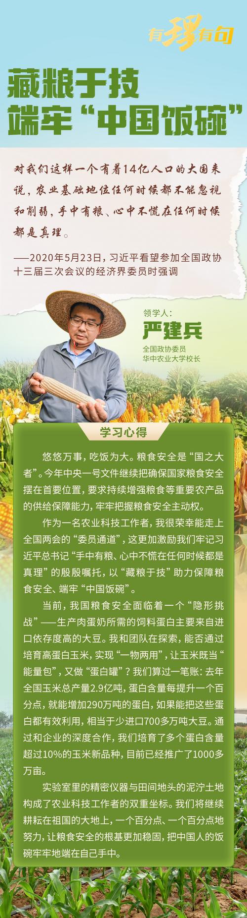 五省市农民工如何端牢饭碗:提升技能拓宽就业门路