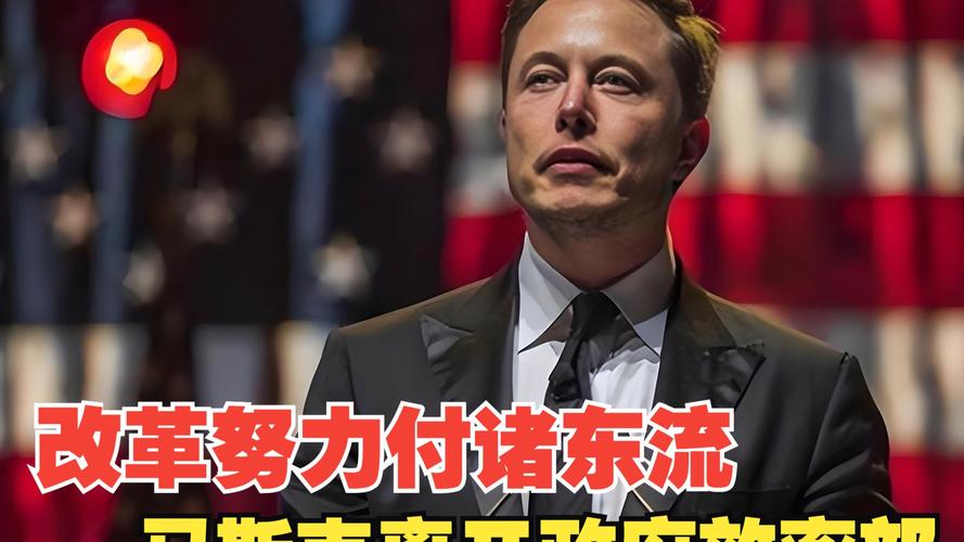 马斯克官宣将离开政府