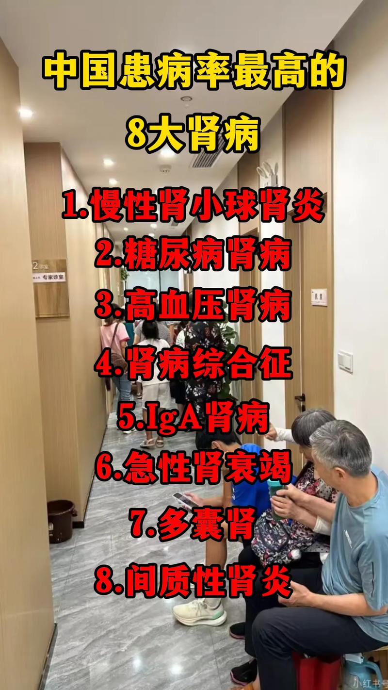 成人患病率8.2% 药企加码慢性肾病领域 “冷门”赛道迎来黄金期?