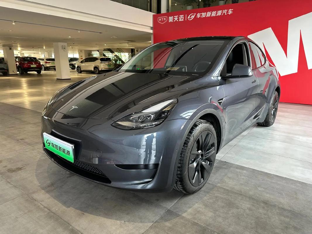 抢购特斯拉Model Y：价格吸引大 质量成最大软肋