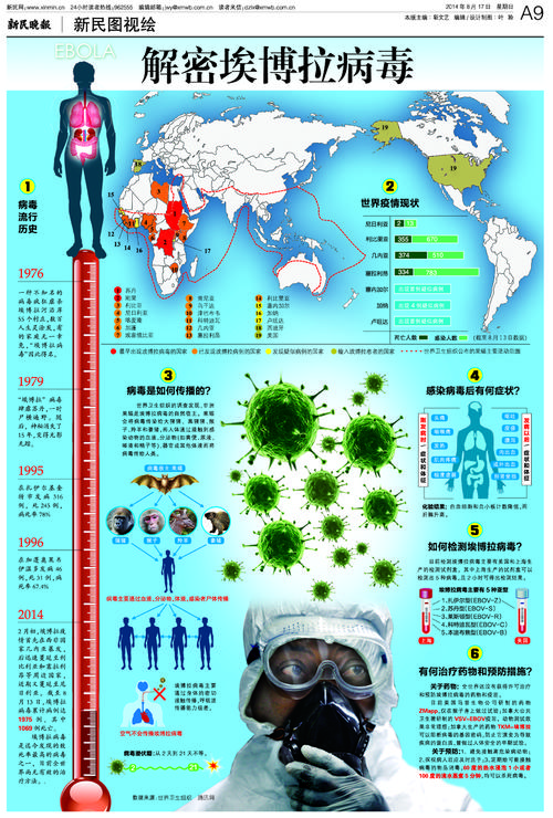 多学科专家利用全球行动带动地区力量