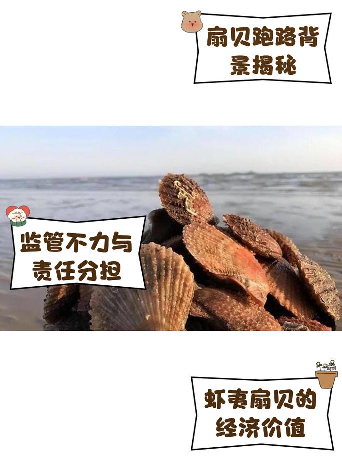 獐子岛回应关注函：暂无法判断扇贝死亡的业绩影响