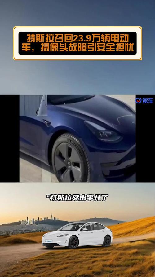 火了!特斯拉:已停业