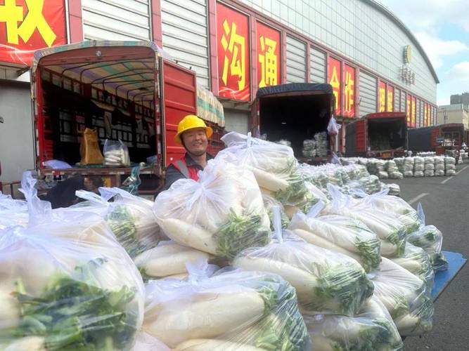 产供销多管齐下 各地多措并举保障“菜篮子”供应