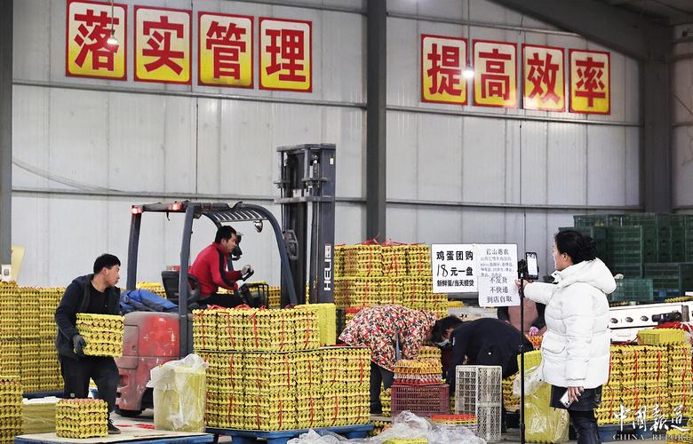 产供销多管齐下 各地多措并举保障“菜篮子”供应