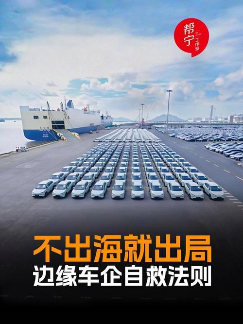 “内卷”的新能源汽车,路在何方
