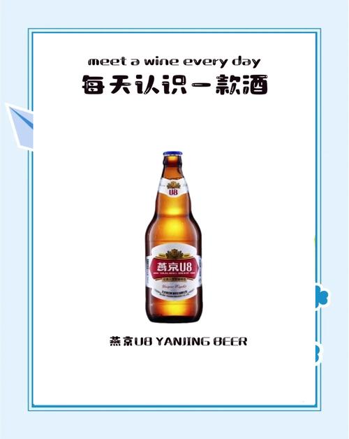 燕京啤酒“种子计划”生根发芽助力足球少年逐梦绿茵